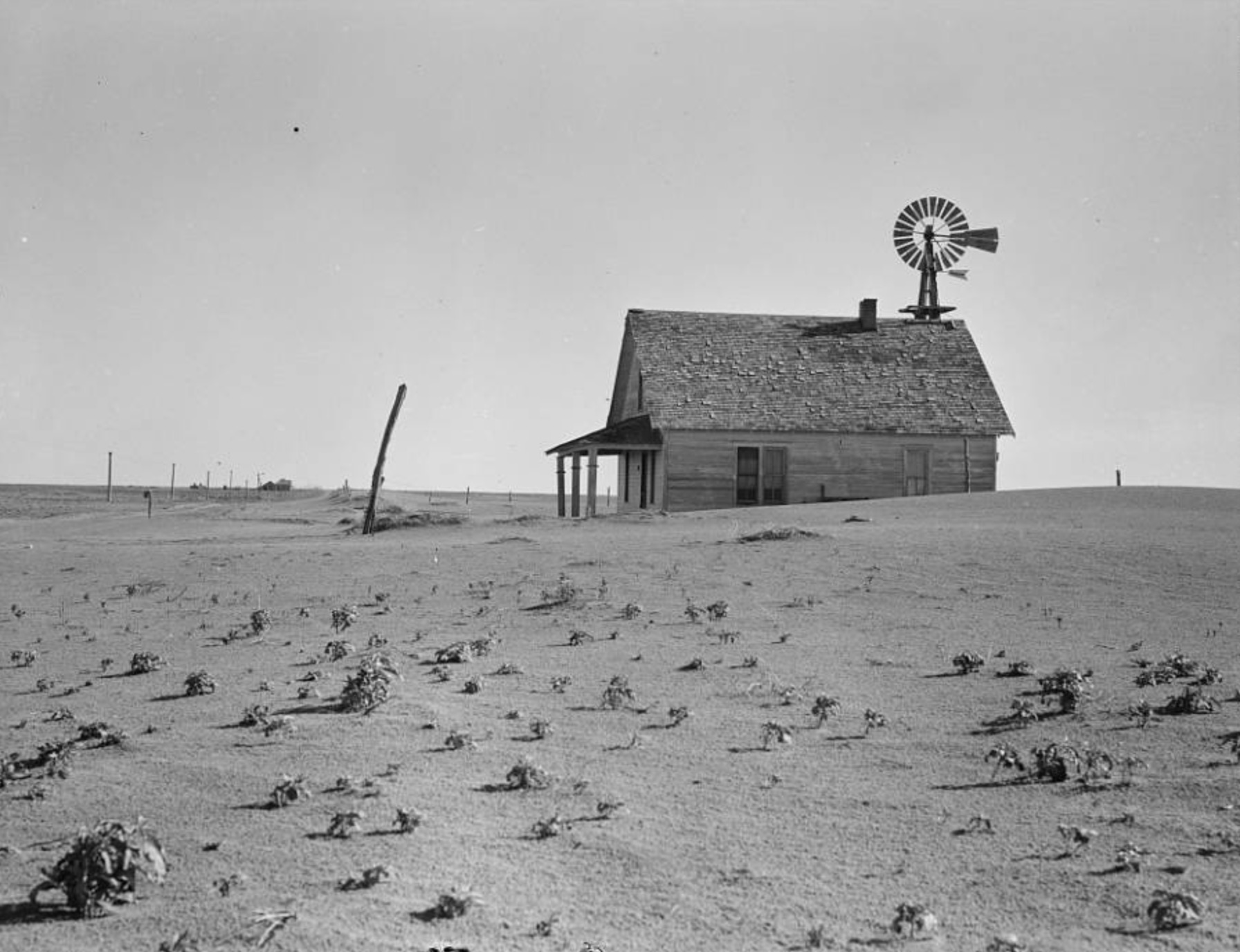 Dust Bowl farm in the Coldwater District, north of Dalhart, Texas 